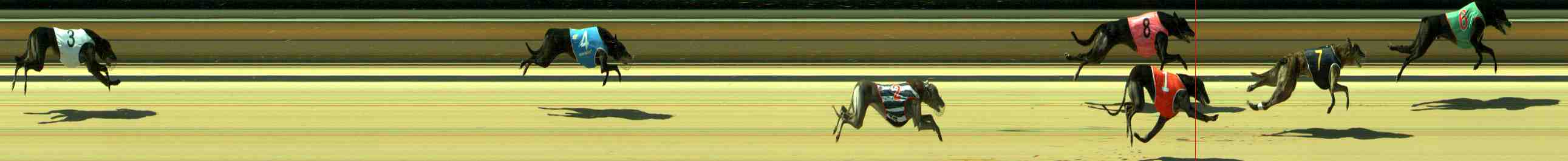 Race result finish photo